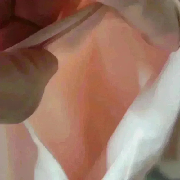 Vintage Francisca Koret Blush Embroidered flower winbreaker. - Picture 5 of 7